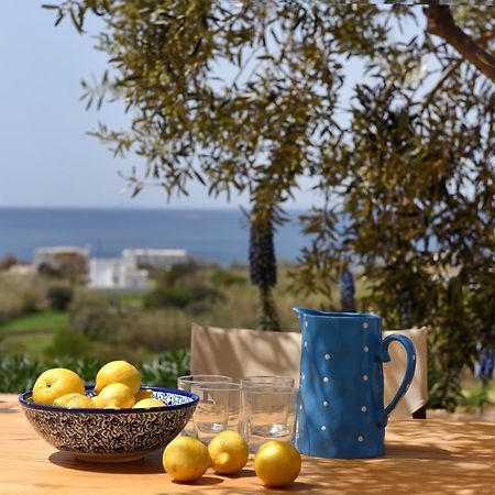 Good Life Greece Eco Villas Posidhonía Екстериор снимка