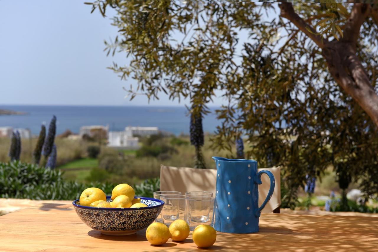 Good Life Greece Eco Villas Posidhonía Екстериор снимка