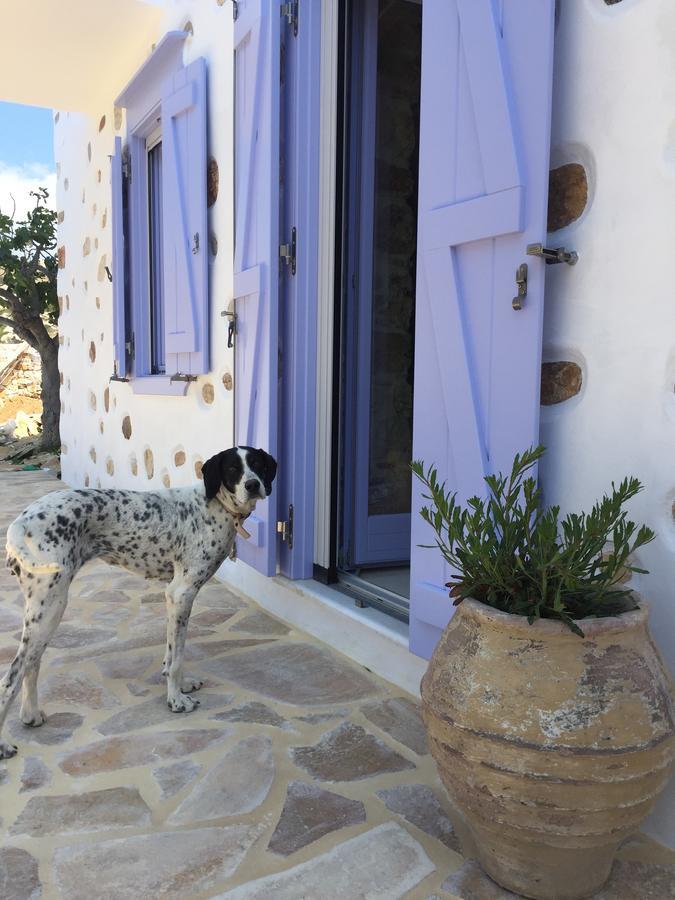 Good Life Greece Eco Villas Posidhonía Екстериор снимка